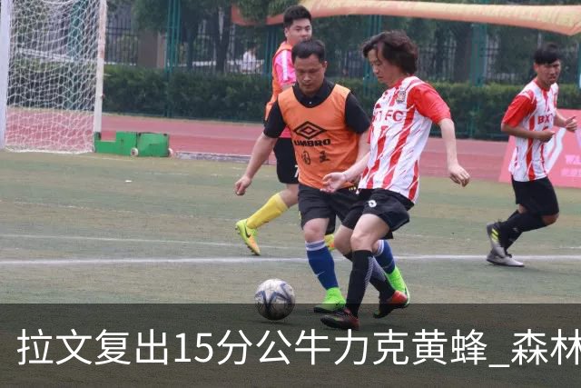 拉文复出15分公牛力克黄蜂 森林狼大胜火箭
