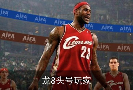 龙8头号玩家品牌故事