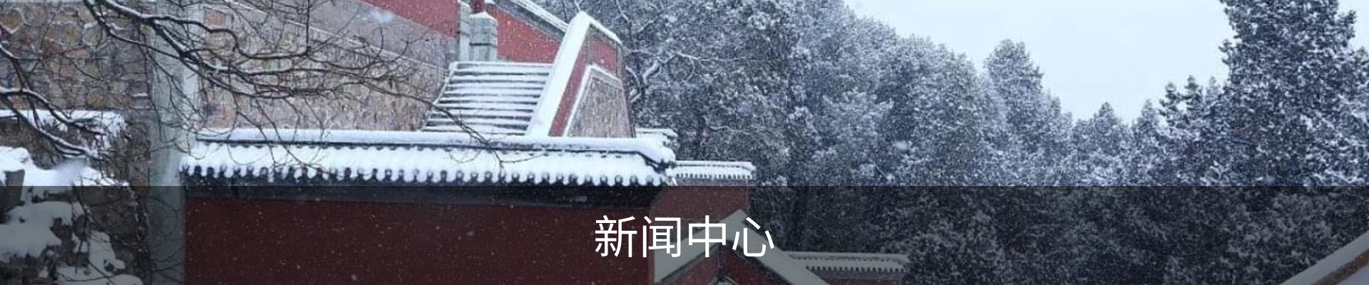 新闻中心